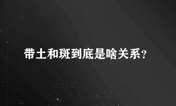 带土和斑到底是啥关系？