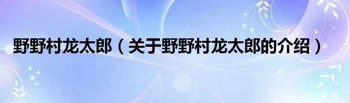 野野村龙太郎（关于野野村龙太郎的介绍）