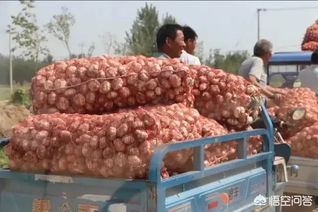 大蒜陆续上市,今年下半年我国大蒜价格会一直突飞猛进吗?