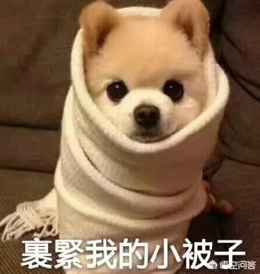 如何评价中国的跑男?