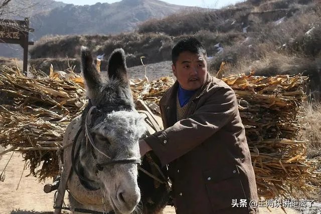 哪部电影或者电视剧是你心中的NO. 1?为什么?