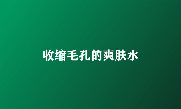收缩毛孔的爽肤水