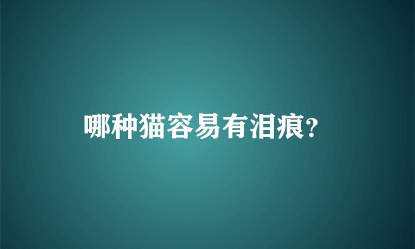 哪种猫容易有泪痕?