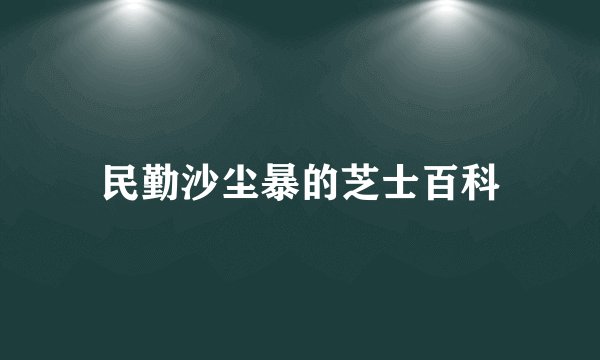 民勤沙尘暴的芝士百科