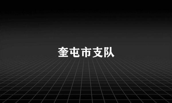 奎屯市支队
