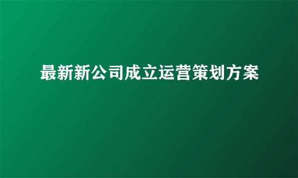 最新新公司成立运营策划方案