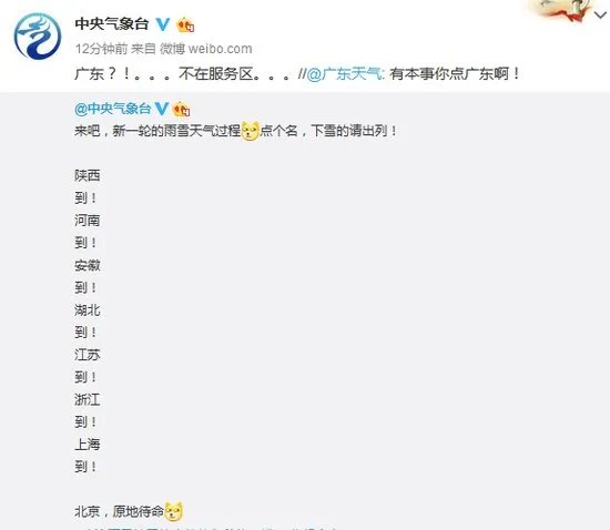 上海预报的大雪下了吗?