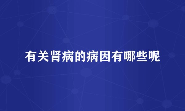 有关肾病的病因有哪些呢