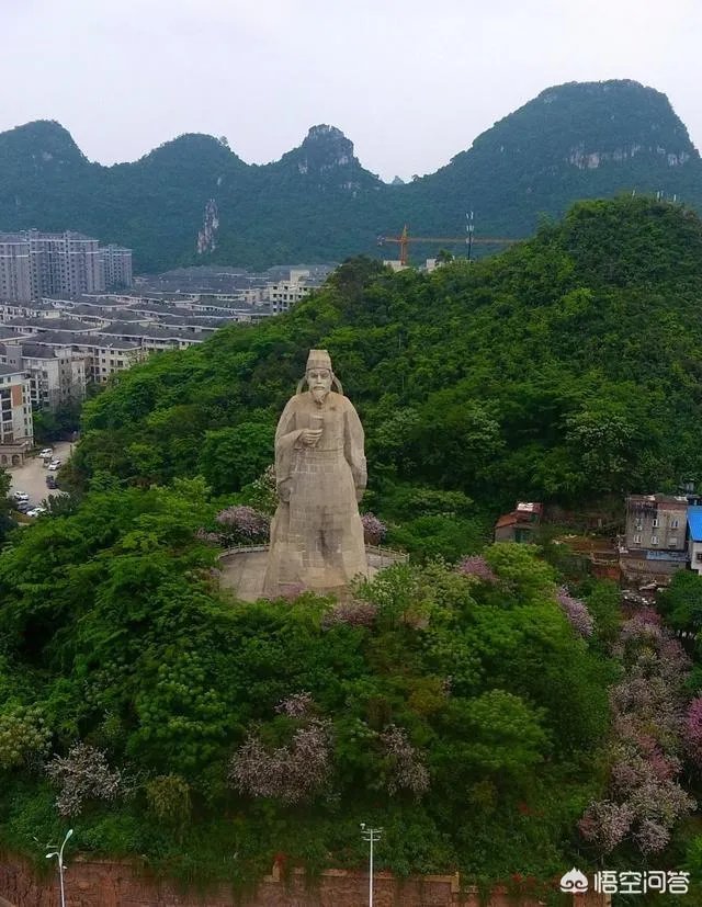 广西柳州紫荆