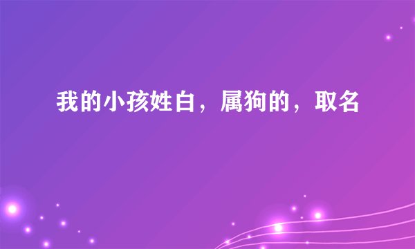 我的小孩姓白，属狗的，取名