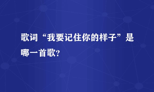 歌词“我要记住你的样子”是哪一首歌？