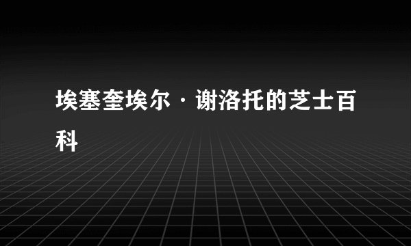 埃塞奎埃尔·谢洛托的芝士百科