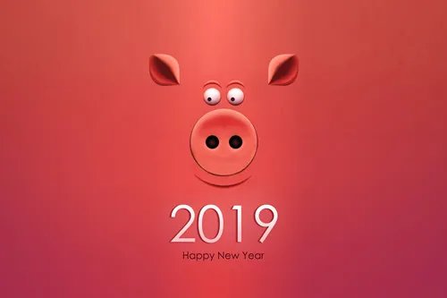 去年是什么年 2019年属什么生肖