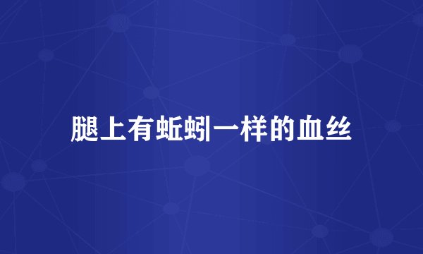 腿上有蚯蚓一样的血丝
