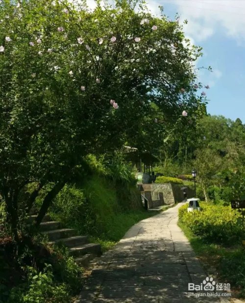 福州鼓岭景点游玩攻略