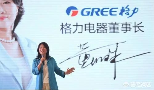 格力电器股权转让尘埃落定,公司将推股权激励计划,你怎么看?