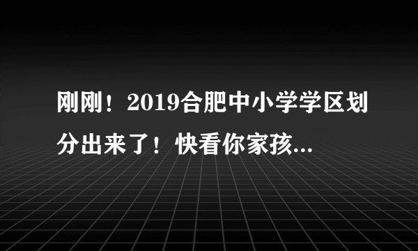 刚刚！2019合肥中小学学区划分出来了！快看你家孩子在哪上学
