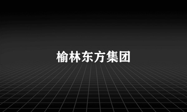 榆林东方集团