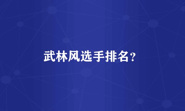 武林风选手排名？