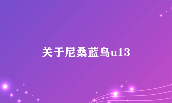 关于尼桑蓝鸟u13