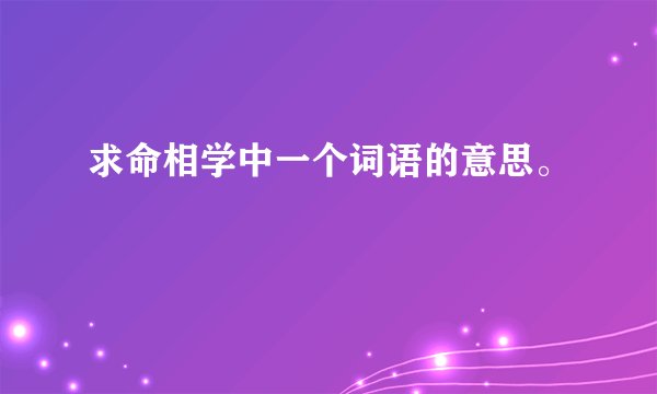 求命相学中一个词语的意思。