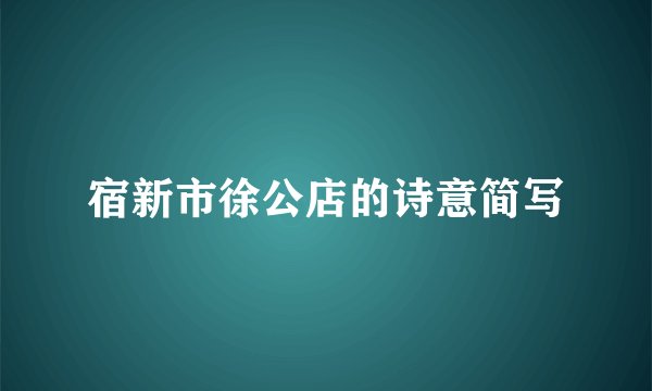 宿新市徐公店的诗意简写