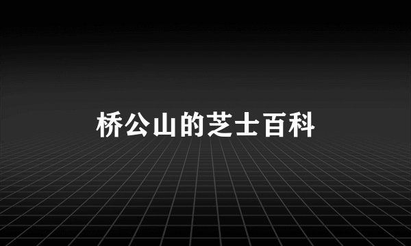 桥公山的芝士百科