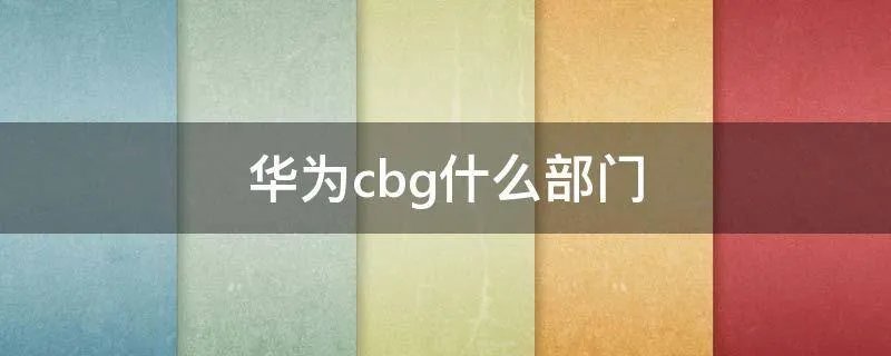 华为cbg什么部门