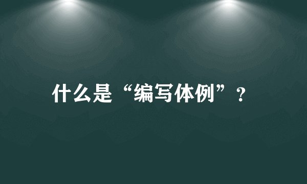 什么是“编写体例”？