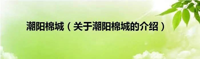 潮阳棉城（关于潮阳棉城的介绍）