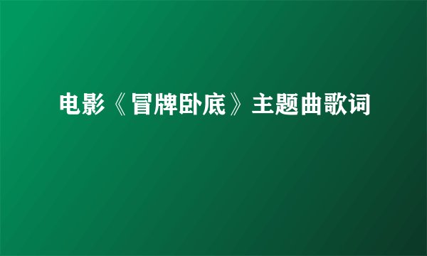 电影《冒牌卧底》主题曲歌词