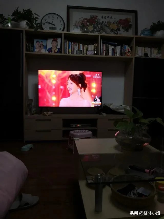 你和你的宠物如何一起跨年迎接2020?