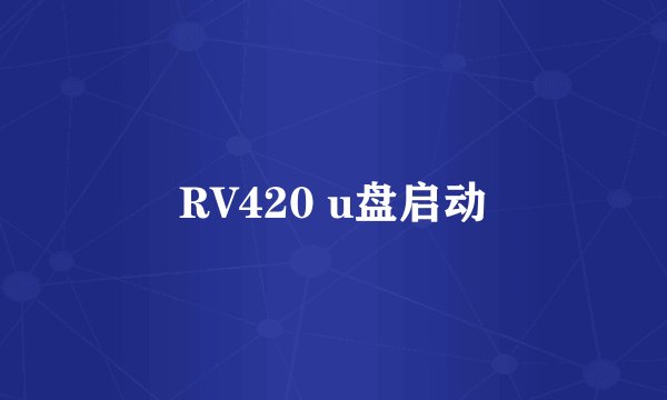 RV420 u盘启动