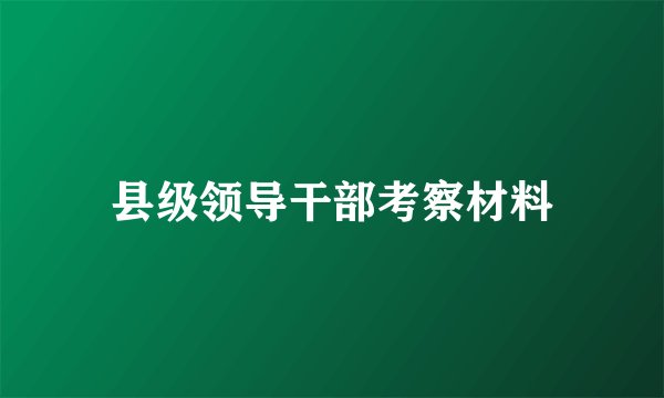 县级领导干部考察材料