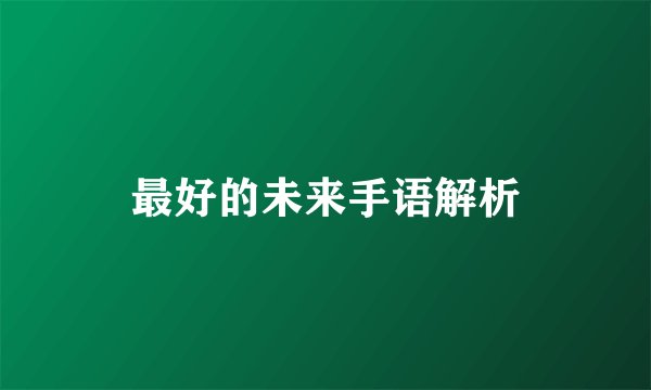 最好的未来手语解析
