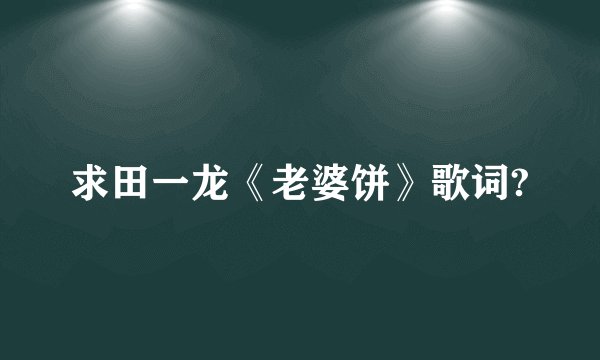 求田一龙《老婆饼》歌词?