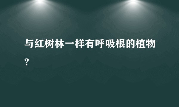 与红树林一样有呼吸根的植物？