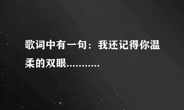 歌词中有一句：我还记得你温柔的双眼........是女的唱的 是什么歌？