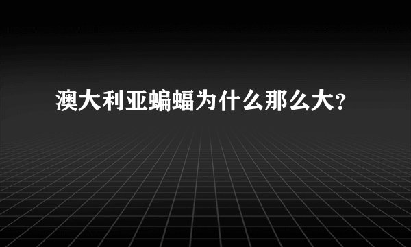 澳大利亚蝙蝠为什么那么大？