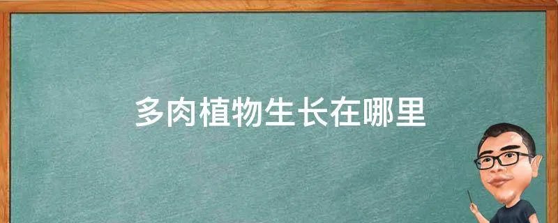 多肉植物生长在哪里