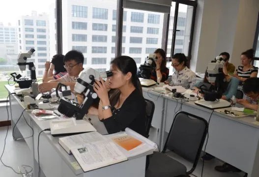 珠宝玉石质量检验师的介绍