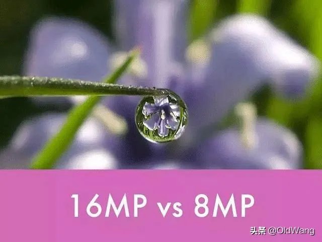 苹果手机1200万像素真的吊打4000万像素的专业相机吗？