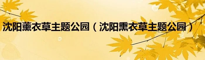 沈阳薰衣草主题公园(沈阳熏衣草主题公园)