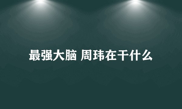 最强大脑 周玮在干什么