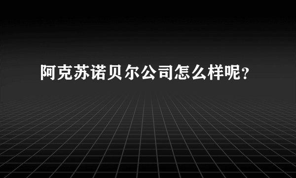 阿克苏诺贝尔公司怎么样呢？