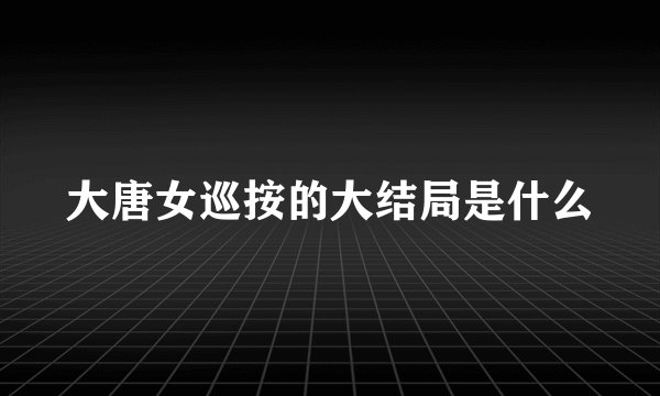 大唐女巡按的大结局是什么