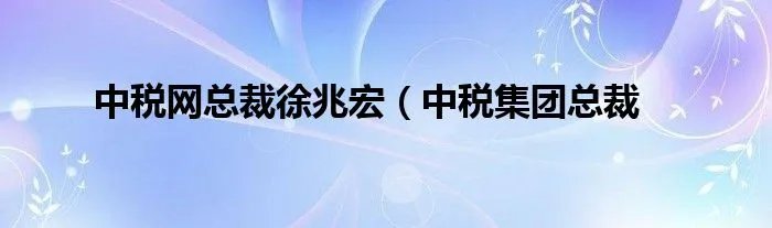 中税网总裁徐兆宏(中税集团总裁