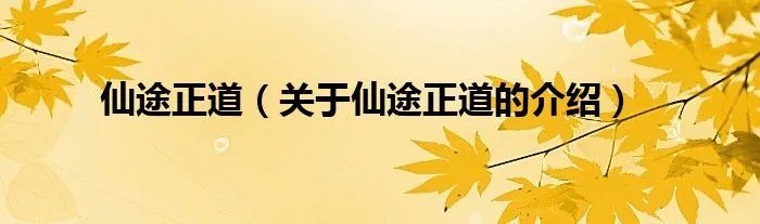 仙途正道（关于仙途正道的介绍）