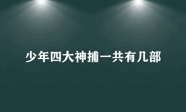 少年四大神捕一共有几部