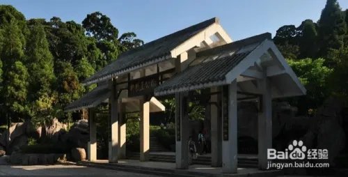 福州鼓岭景点游玩攻略